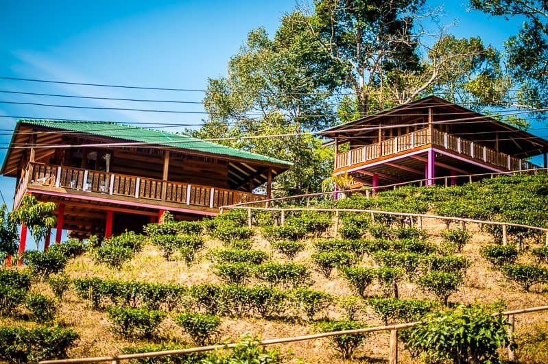 A Raw Vegan Detox Retreat What to expect! Fit Living Lifestyle