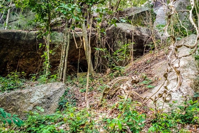 Hiking in Thailand on Koh Phangan