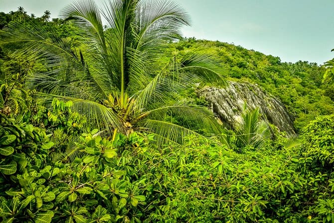 Hiking in Thailand on Koh Phangan