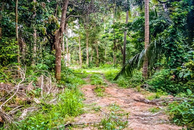 Hiking in Thailand on Koh Phangan